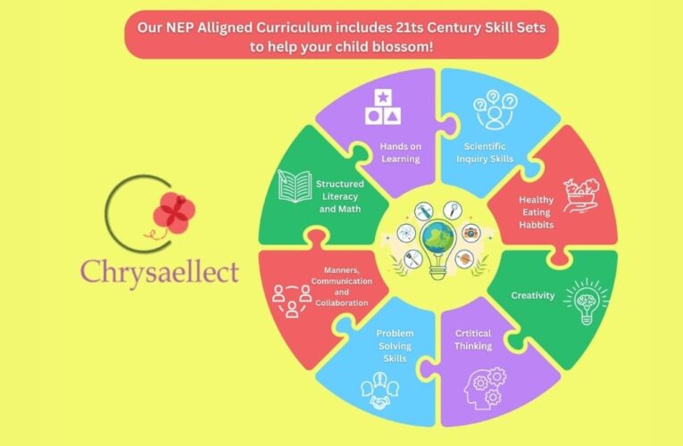 Revolutionizing Early Childhood Education with Chrysaellect Education Solutions