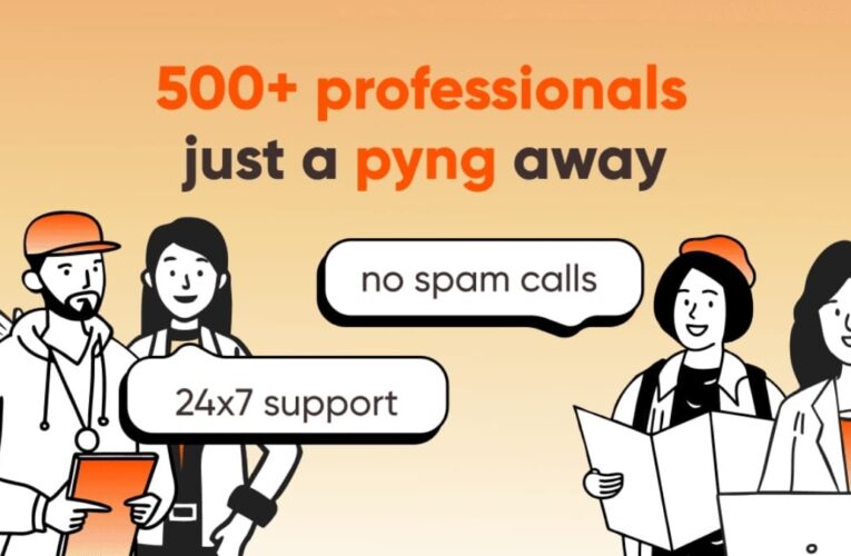 Tired of Fake Profiles? PYNG Ensures Only the Best, Verified Professionals Make the Cut