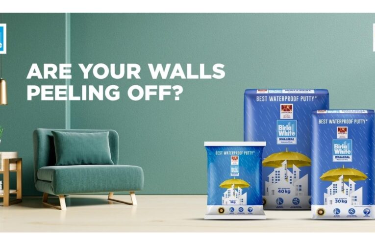 Ever Wonder Why Fresh Paint Starts Peeling, Your Walls Might Be Fine but Are They Built to Last