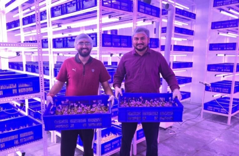 Rootious Organics Startup Revolutionizes Saffron Farming with Aeroponics, Setting New Standards for Purity and Innovation