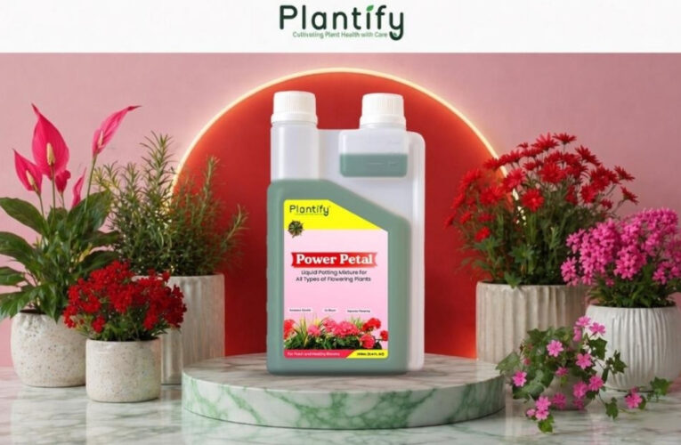 Top Benefits of Using Organic Liquid Potting Mixture for Home Gardening