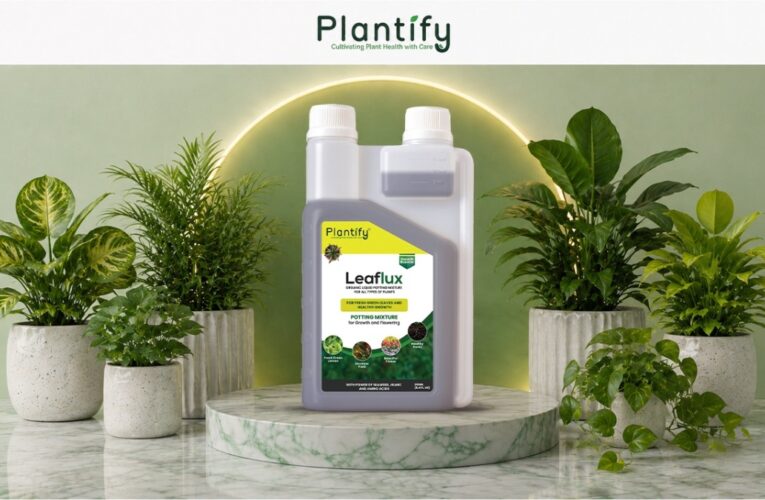 Top Benefits of Organic Liquid Potting Mixture for Faster Plant Growth & Increase Flower Bloom